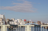 ձ峺Ŀ