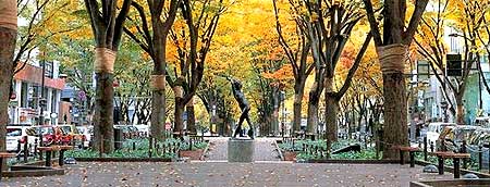 日本大学各地区升学率居然差40%?!