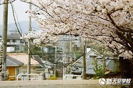 只需4点-轻松选对日本语言学校