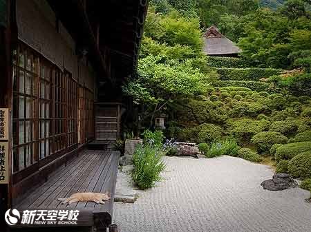 在留资格分为哪些种类?