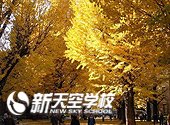 东京大学 | 東京大学 | University of Tokyo