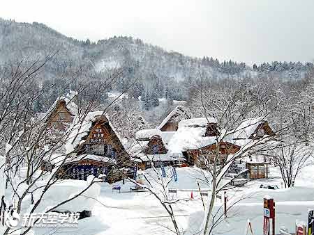 推荐!日本国内冬季短期游路线1.深受欢迎!世界遗産?白川乡&飞驒高山,长脚蟹等30种类晚餐吃到饱