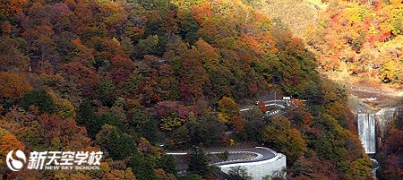 【日光】秋季红叶观赏推荐景点