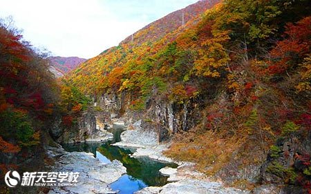 【日光】秋季红叶观赏推荐景点