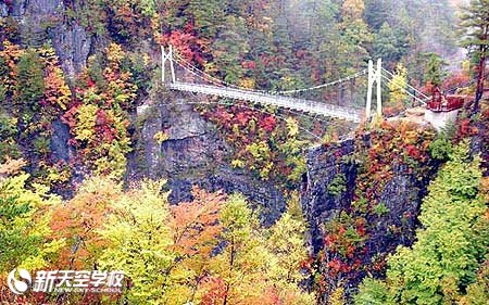【日光】秋季红叶观赏推荐景点